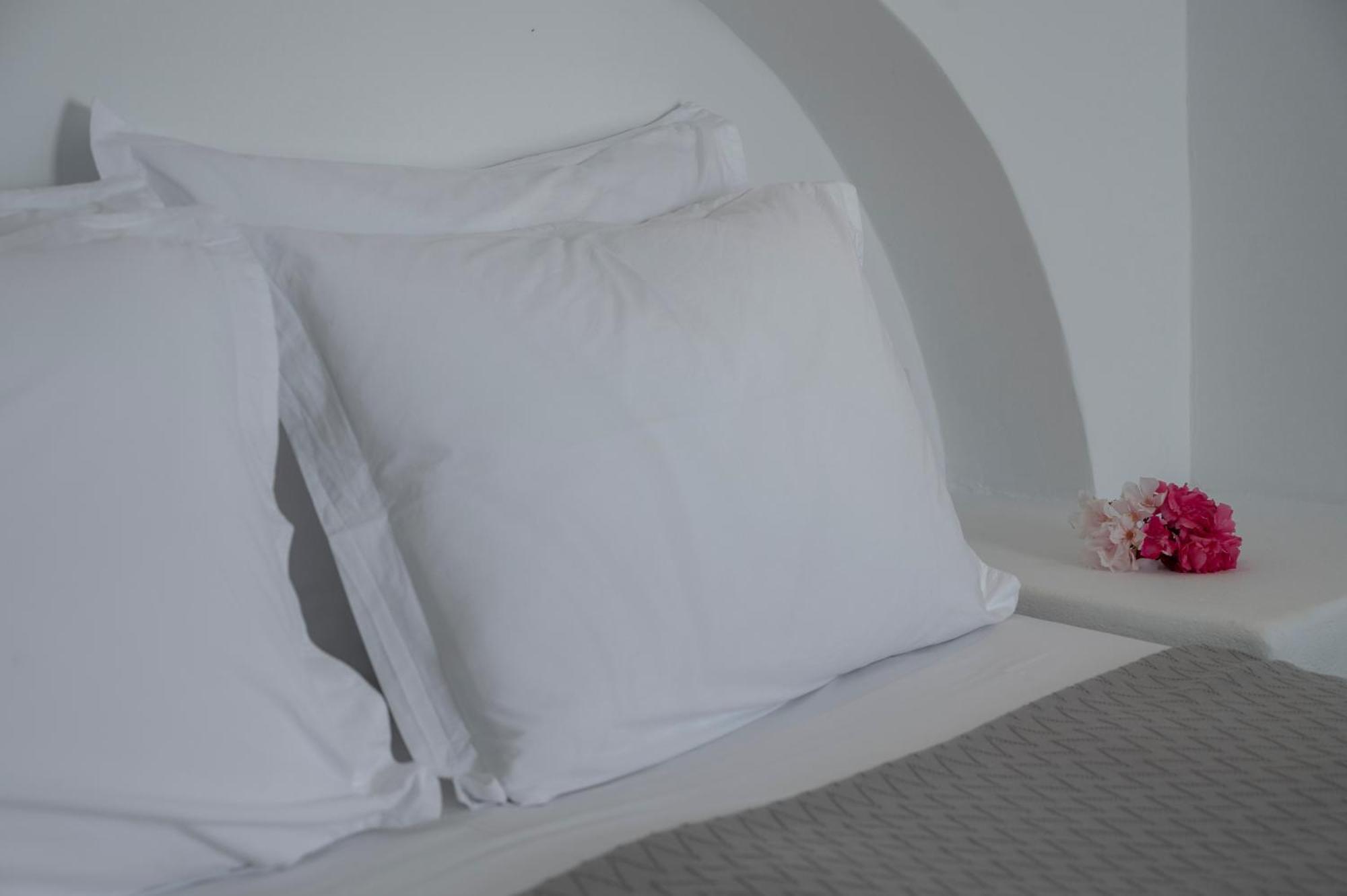 Aegean Dream Apartments Tínos Eksteriør billede